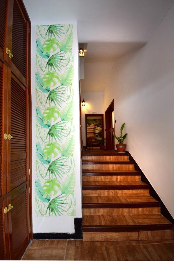 B&B Casa Armonia Santa Cruz de Tenerife Esterno foto